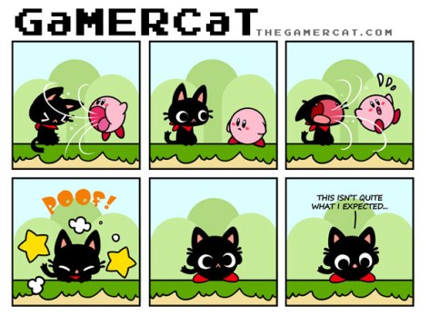 the GaMERCat  the Brick In the Sky